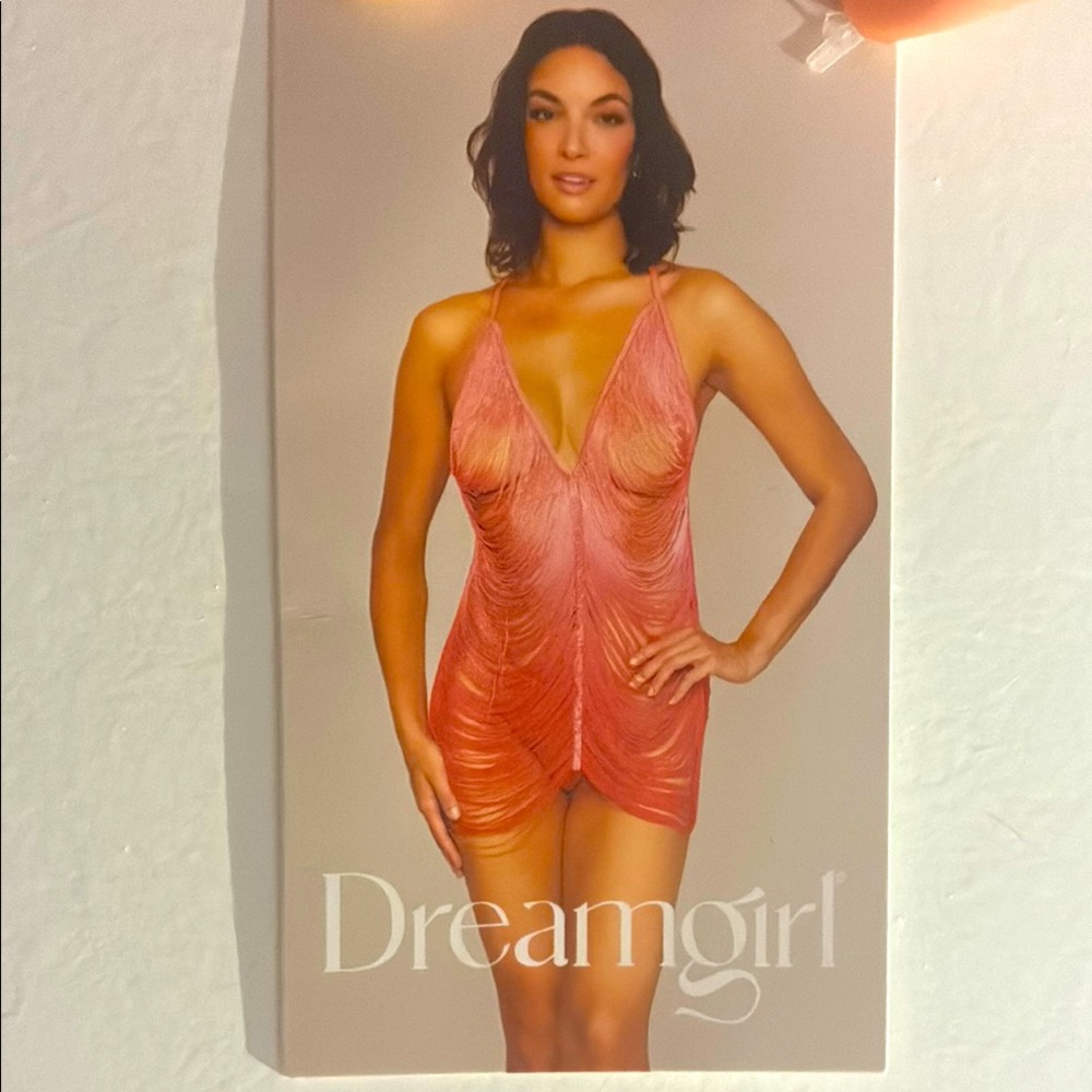 Dreamgirl Coral Chemise 2 PC